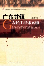 广东井镇农民工群体素描