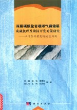 深层碳酸盐岩礁滩气藏储层成藏机理及勘探开发对策研究  以川东北黄龙场地区为例