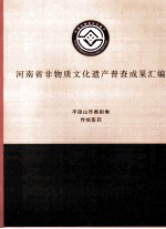 河南省非物质文化遗产普查成果汇编  平顶山市类别卷  传统医药  4