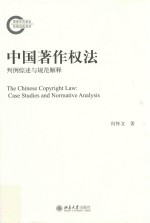 中国著作权法  判例综述与规范解释=The Chinese copyright law case studies and normative analysis