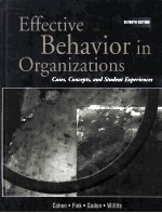 EFFECTIVE BEHAVIOR IN ORGANIZATIONS:CASES