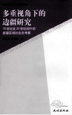 多重视角下的边疆研究  18世纪至20世纪初叶的新疆区域社会史考察