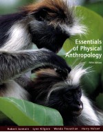 Essentials of physical anthropology  Fifth Edition