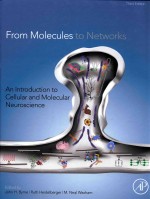 FROM MOLECULES TO NETWORKS  AN INTRODUCTION TO CELLULAR AND MOLECULAR NEUROSCIENCE  THIRD EDITION