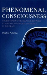 PHENOMENAL CONSCIOUSNESS  UNDERSTANDING THE RELATION BETWEEN EXPERIENCE AND NEURAL PROCESSES IN THE 