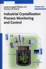 Industrial Crystallization Process Monitoring and Control