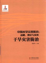 中国水旱灾害防治  战略、理论与实务  干旱灾害防治  第6卷