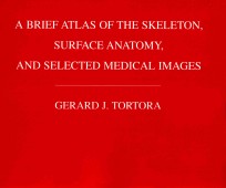 A BRIEF ATLAS OF THE SKELETON