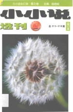 小小说选刊  总313-318期  合订本  春之卷