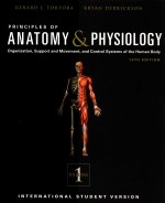 PRINCIPLES OF ANATOMY & PHYSIOLOGY  VOLUME 1  13THE EDITION