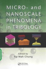 MICRO-AND NANOSCALE PHENOMENA IN TRIBOLOGY