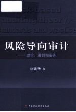 风险导向审计  理论、准则和实务