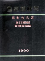 金色的东莞  摄影作品选  1990