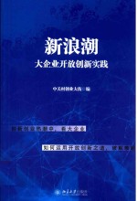 新浪潮  大企业开放创新实践