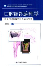 口腔组织病理学理论与实验教学彩色袖珍图谱