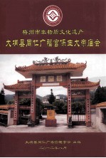 梅州市非物质文化遗产  大埔县同仁广福宫保生大帝庙会