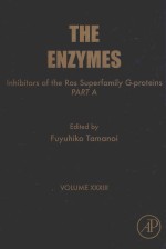 THE ENZYMES INHIBITORS OF THE RAS SUPERFAMILY G-PROTEINS