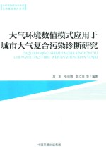 大气环境数值模式应用于城市大气复合污染诊断研究