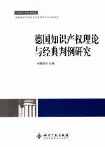 德国知识产权理论与经典判例研究