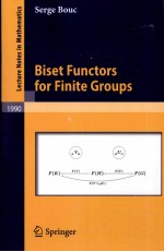 Biset Functors for Finite Groups