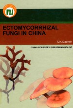 中国外生菌根菌  英文版