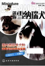 迷你雪纳瑞犬