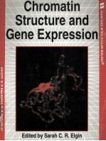 CHROMATIN STRUCTURE AND GENE EXPRESSION