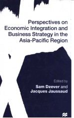 Perspectives on Economic Integration and Business Strategy in the Asia-Pacific Region