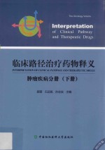 临床路径治疗药物释义  肿瘤疾病分册  下  2015年版