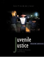 JUVENILE JUSTICE A GUIDE TO PRACTICE AND THEORY FOURTH EDITION