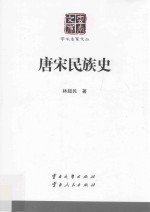 云南文库  学术名家文丛  唐宋民族史