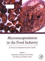 Microencapsulation in the food industry : a practical implementation guide