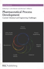 Pharmaceutical Process Development:Current Chemical and Engineering Challenges