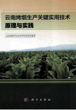 云南烤烟关键实用技术原理与实践