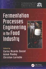 Fermentation Processes Engineering in the Food Industry