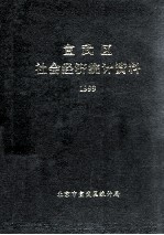 宣武区社会经济统计资料  1999