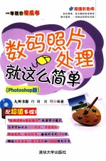 一学就会傻瓜书  数码照片处理就这么简单  Photoshop版