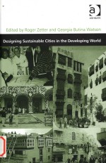 Designing sustainable cities in the developing world