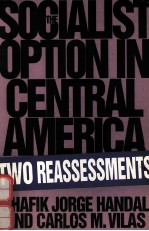 THE SOCIALIST OPTION IN CENTRAL AMERICA:TWO REASSESSMENTS