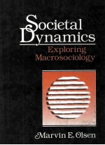 SOCIETAL DYNAMICS EXPLORING MACROSOCIOLOGY