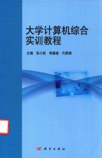 大学计算机综合实训教程