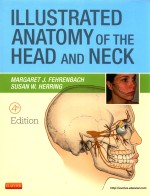 ILLUSTRATED ANATOMY OF THE HEAD AND NECK 4TH EDITION