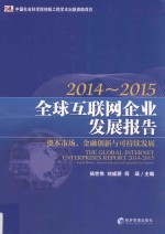 全球互联网企业发展报告  资本市场、金融创新与可持续发展  2014-2015