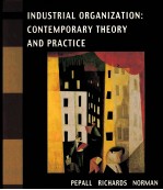 INDUSTRIAL ORGANIZATION:CONTEMPORARY THEORY AND PRACTICE