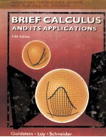 BRIEF CALCULUS AND ITS APPLICATIONS FIFTH EDITION