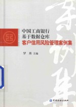 中国工商银行基于数据仓库客户信用风险管理案例集