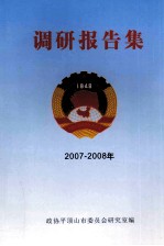 调研报告集  2007-2008年