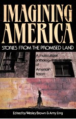 IMAGINING AMERICA:STORIES FROM THE PROMISED LAND