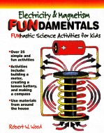 ELECTRICITY AND MAGNETISM FUN DAMENTALS FUNTASTIC SCIENCE ACTIVITIES FOR KIDS