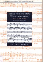 Music Analysis in the Nineteenth Century  volume Ⅱ Hermeneutic Approaches